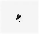 FORCELLINO CAMBIO UDH ALLUMINIO NERO X0040100 2031580120 SRAM